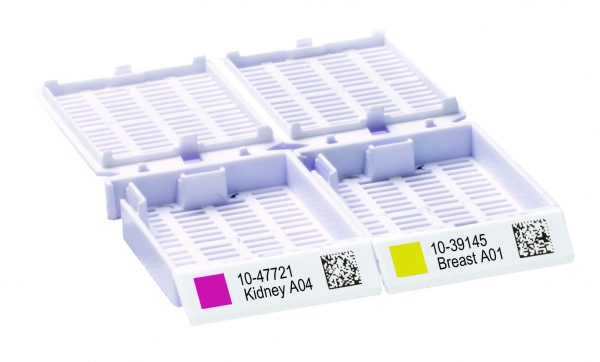 colored_cassettes_pair-1